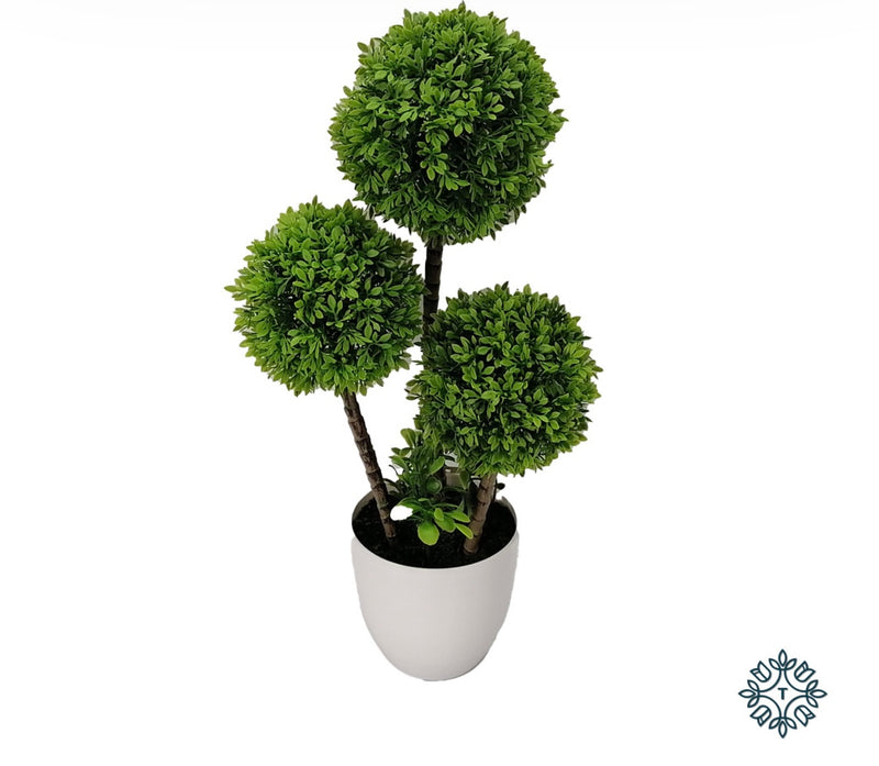 Buxus 3 ball white plastic pot 45cm