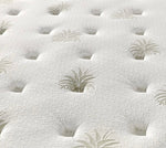 G02 Aloe Vera Mattress