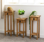 Corona Plant Stands