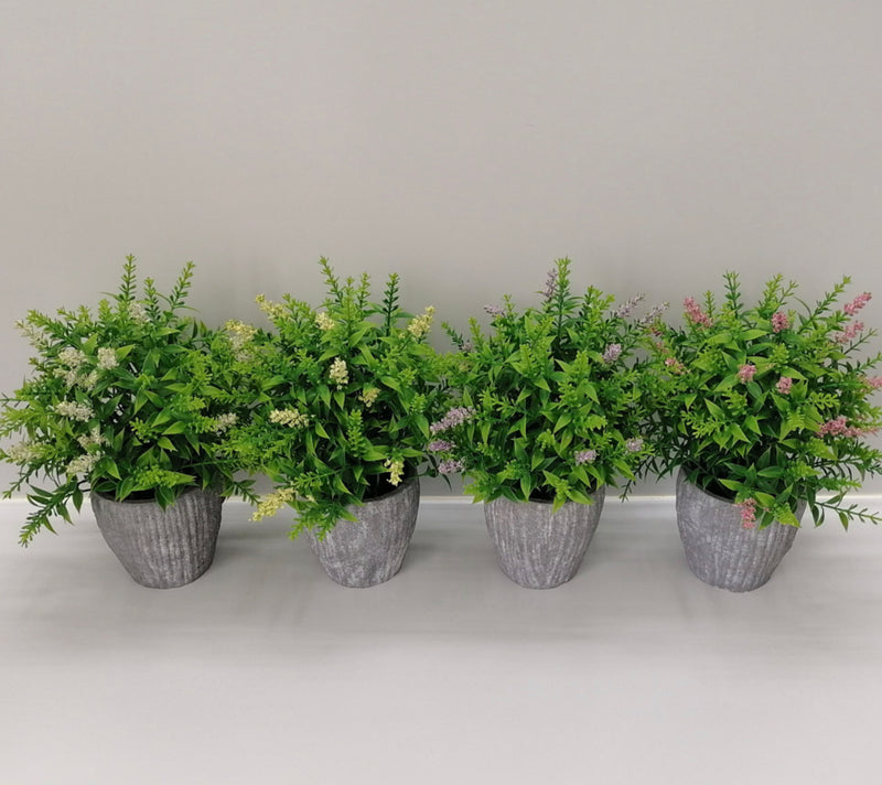 Heather assortment grey pot 26cm