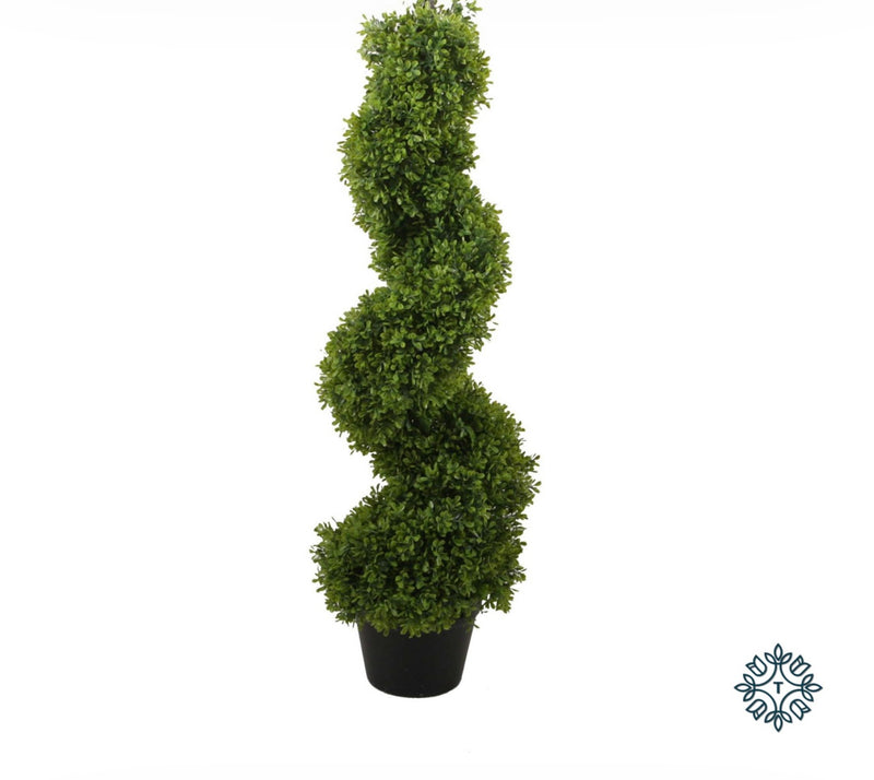 Buxus spiral black pot 90cm