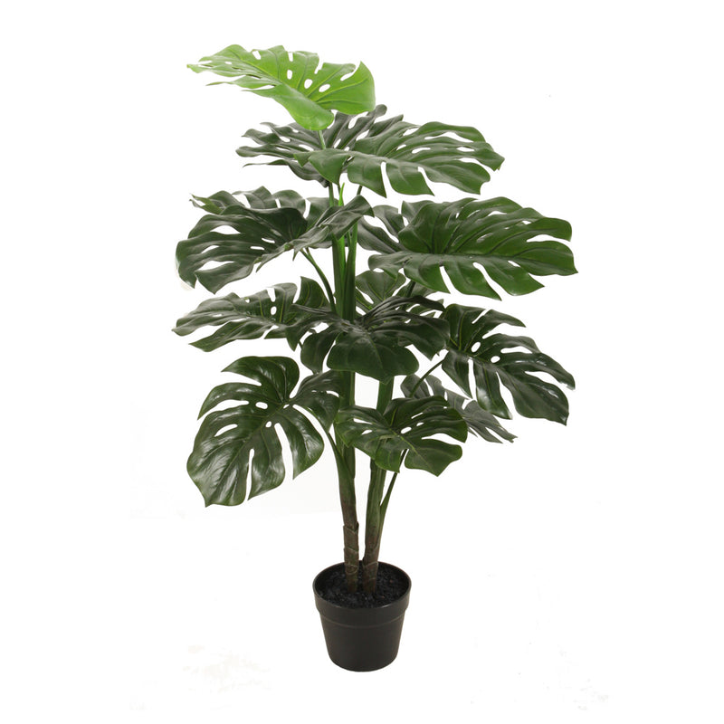 Monstera Black Pot 90cm