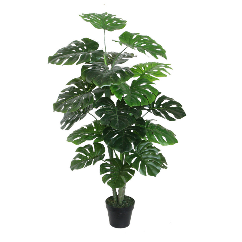 Monstera Black Pot 120cm