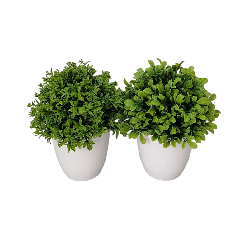 Potted Bonsai Round S/2 Assorted
