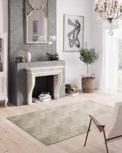 Max Rug 671