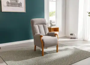 Blaze Fixed Armchair