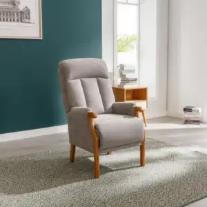Blaze Fixed Armchair